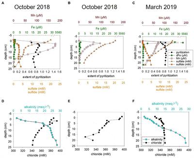 Environmental changes affect the microbial release of hydrogen sulfide and methane from sediments at Boknis Eck (SW Baltic Sea)